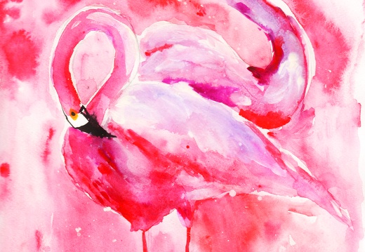 Розовые фламинго 