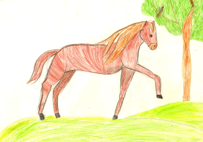4814 Gitti Lemberger. Лошадь. Возраст - 7 лет. Номинация - графика. Техника - рисунок цветными карандашами (2).jpg