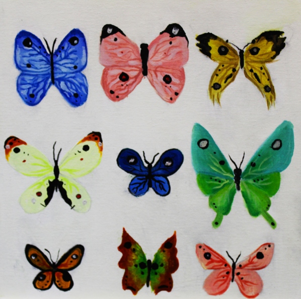 Коллекция бабочек, Вера Назарок.JPG