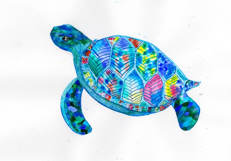 75, Морская черепаха, Дарья Миненко.jpg