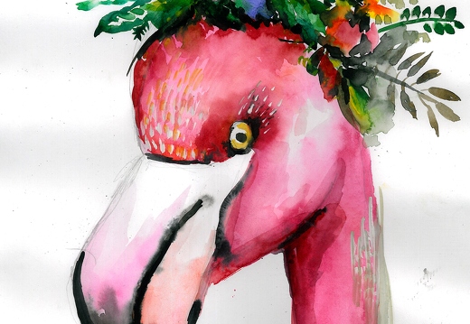 Портрет фламинго