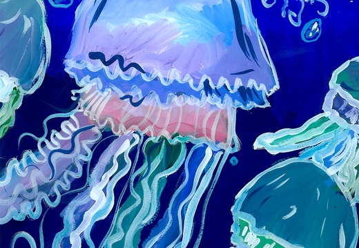 Миграция медуз
