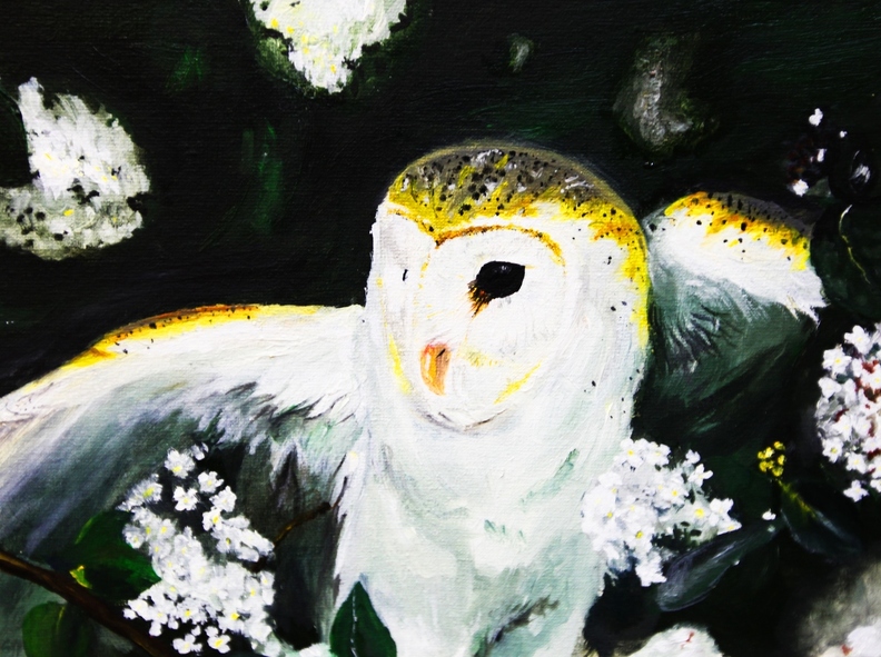 Белая сова, Александра Лобанова.JPG