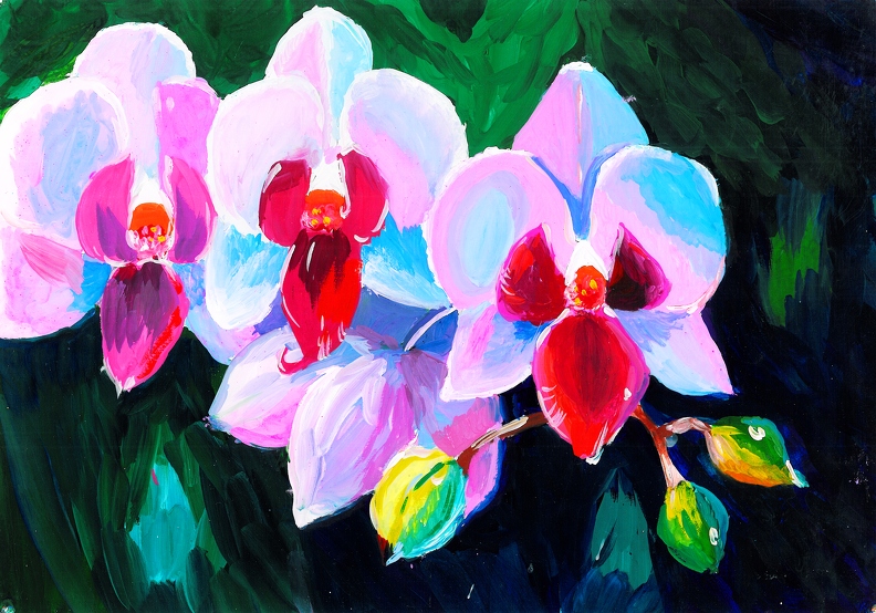 Орхидеи, Дарья Миненко.jpg