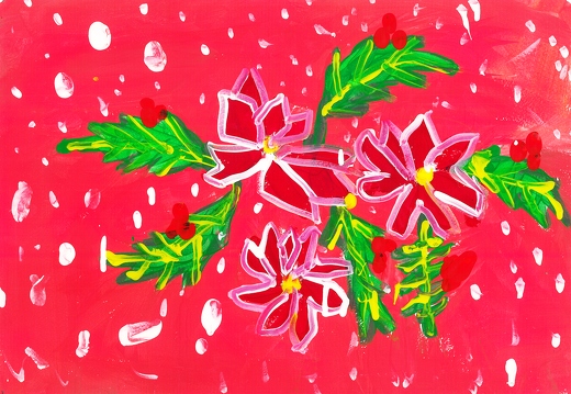Пуансеттия - рождественский цветок