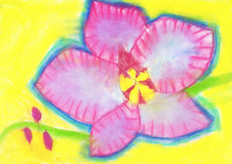 6300 Екатерина Пинчук. Орхидея - цветок. Возраст - 6 лет. Номинация - графика. Техника - пастель.jpg