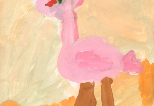 Фламинго в море
