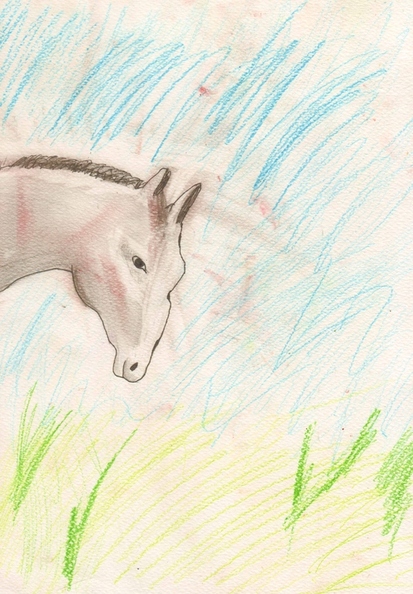 5246 Ксенія Кузнєцова. Вік 9 років. Голова коня, швидка замальовка. Номінація-графіка. Техніка-змішана..jpg