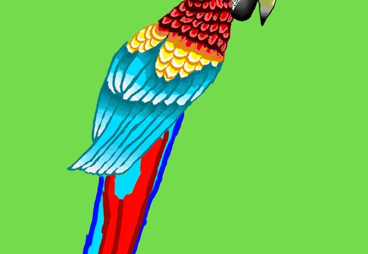 Папуга