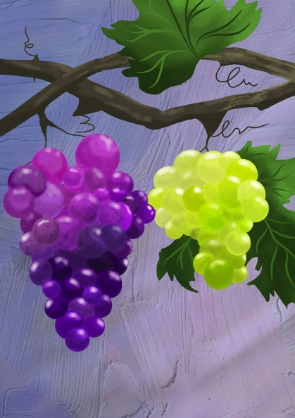 821. Автор - Галичина Тамара. Вік 13 років. Виноград. Номінація - компьютерна графіка.jpg