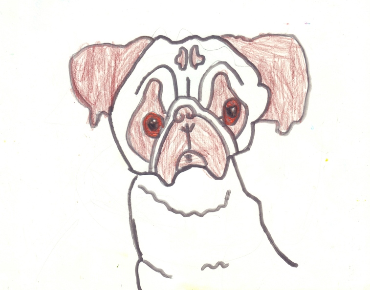 18020. Автор - Соколовський Матвій. Вік 9 років. Сумний мопс. Номінація - графіка. Техніка - олівці..jpg