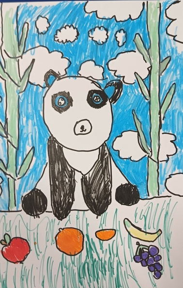 4-4814.Анна Вдовіченко.Вік 6 років.Панда.Номінація графіка.Техніка фломастери_.jpg