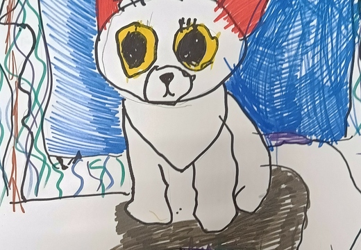 Котик
