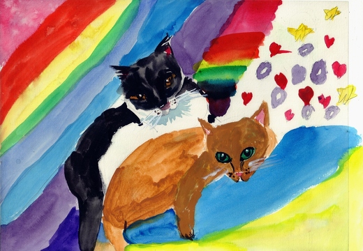 Котики