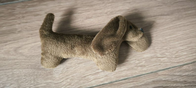 Анастасія Пилипенко. М_яка іграшка _Цуцик _. 11р_.jpg