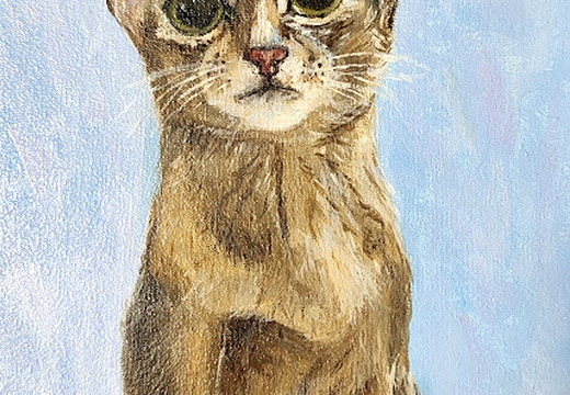 Кіт