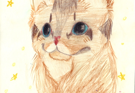 Котик