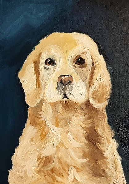 01-821. Автор - Біляєва Катерина. Вік 12 років. Лабрадор. Номінація - живопис. Техніка - олійний живопис.jpg