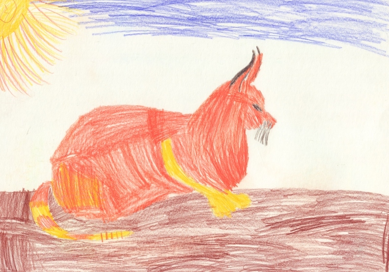 04-21416. Автор - Коновалова Поліна. Вік 5 років. Каракал. Номінація - графіка. Техніка - кольорові олівці..jpg