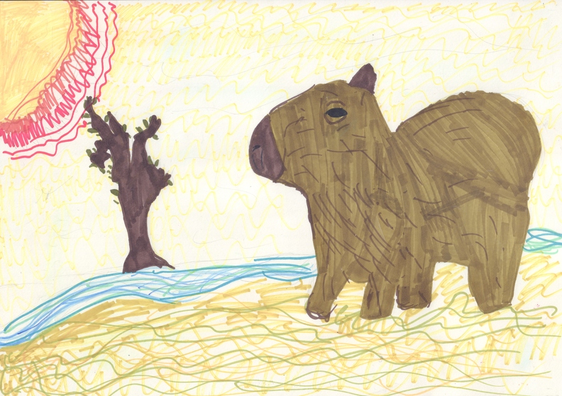 04-21416. Автор - Кузьмінський Роман. Вік 6 років. Капібара. Номінація - графіка. Техніка - маркери..jpg