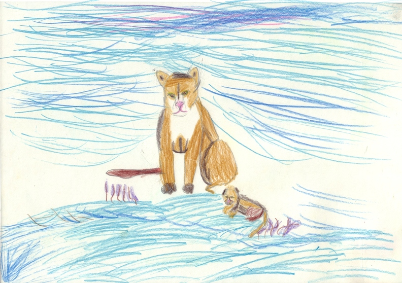 04-21416. Автор - Коновалова Поліна. Вік 6 років. Пума з дитинчам. Номінація - графіка. Техніка - кольорові олівці..jpg