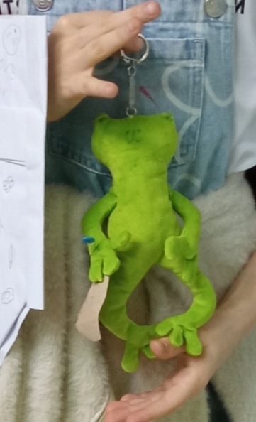 05-Калініченко Єлизавета. М_яка іграшка _Жабеня_. Мікроплюш. 8 р..jpg