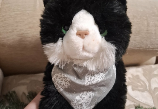 Аксесуар бондана для кота
