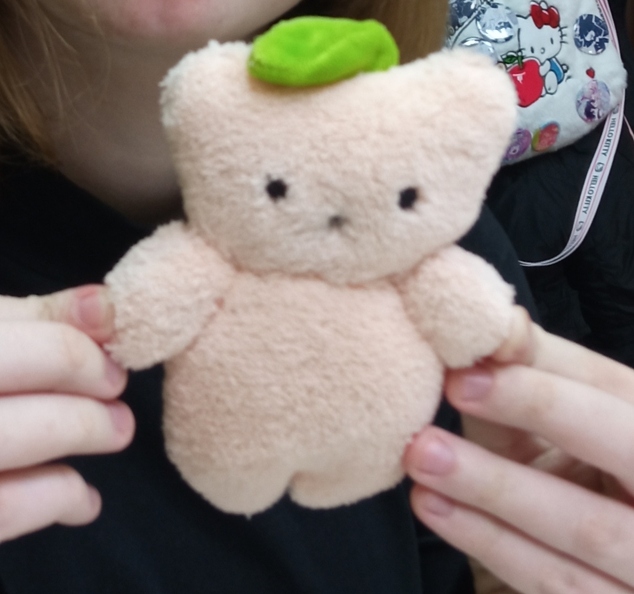 05-Юлія Ніколайчук. М_яка іграшка _Медведик_. Хутро. 15.jpg