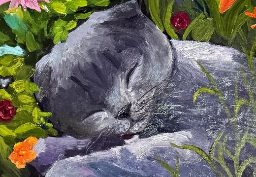 Котик