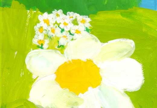 Поле з ромашками