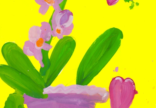 Квітуча орхідея