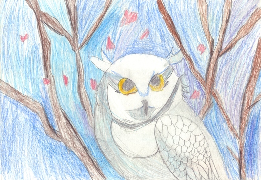 Біла сова