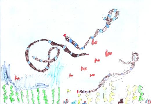 Морська змія