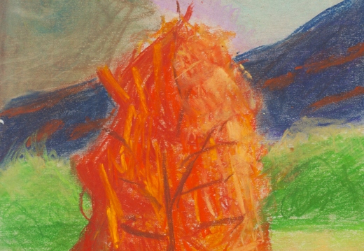 Золота осінь