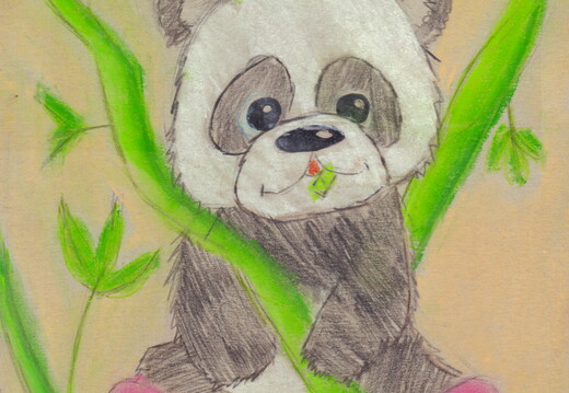 03-18020. Автор - Добреля Владислава. Вік 9 років. Панда. Номінація - графіка. Техніка - суха пастель.