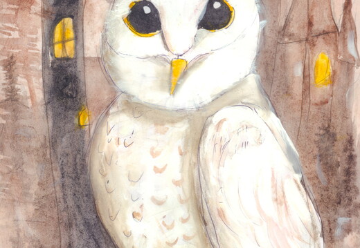 Полярна сова