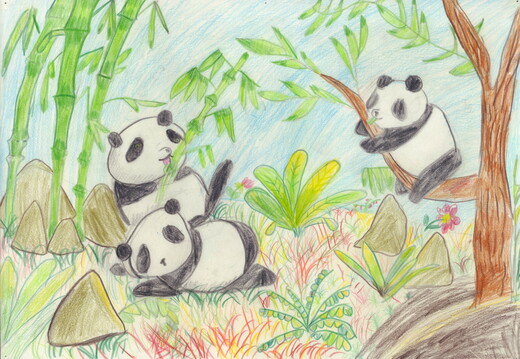 Панди відпочивають