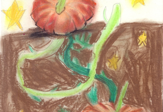 Гарбузи на городі