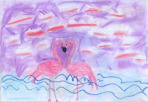Рожеві фламінго