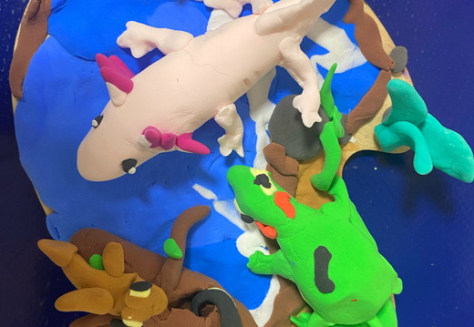 Морські тварини