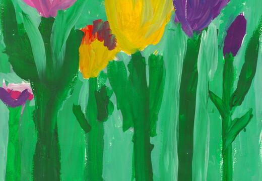 Тюльпани